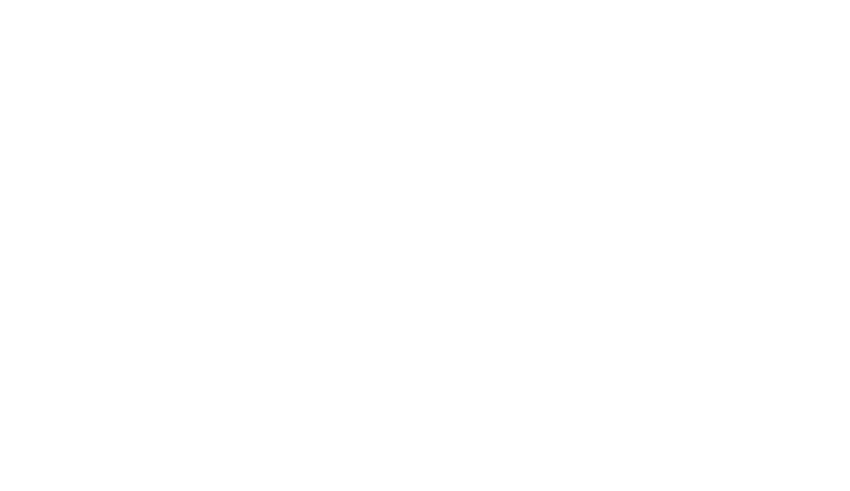 alp builders